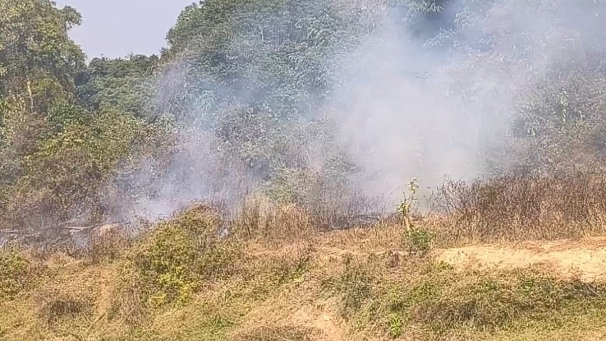 DIGBOI: Fire at Dibru river reserve forest raises questions over forest protection