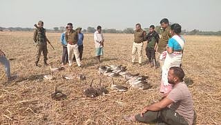 50 Migratory Birds Found Dead in Majuli on Republic Day
