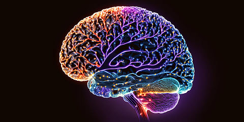 Study reveals insights about brain regions linked to OCD