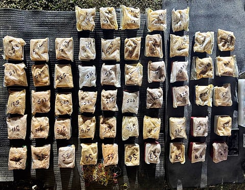 Assam Rifles Seizes Heroin Worth Rs 4.05 Crore in Cachar
