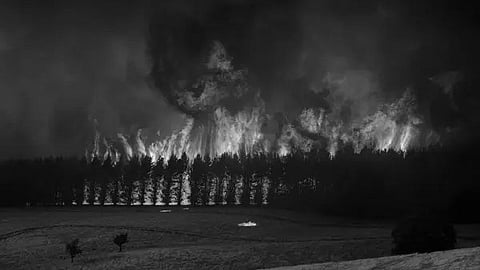 Naloni Reserve Forest