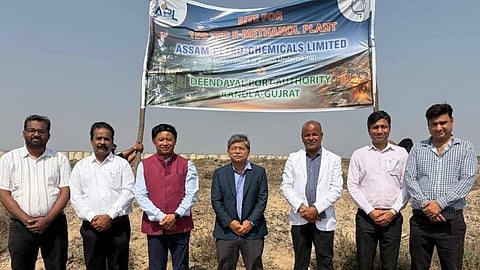 Assam Petro-Chemicals Limited