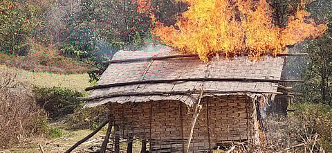 Eight Acres of Poppy Destroyed, Five Militants Arrested in Manipur
