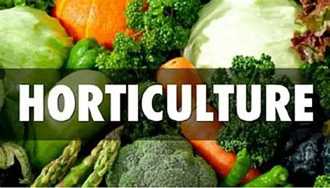  Agricultural—Horticulture Fair