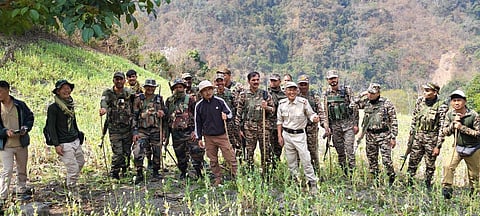 Joint Operation in Manipur Destroys Illegal Poppy Cultivation Spread Over 8 Acres
