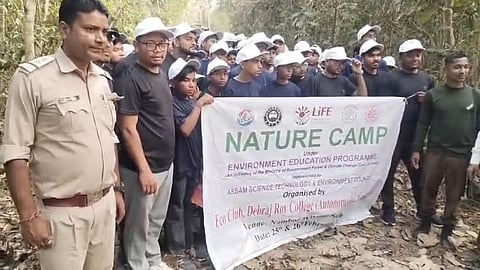 Nambor and Bijuli forests