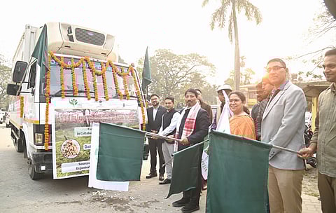 GI-Tagged Karbi Anglong Ginger Exported to London for First Time
