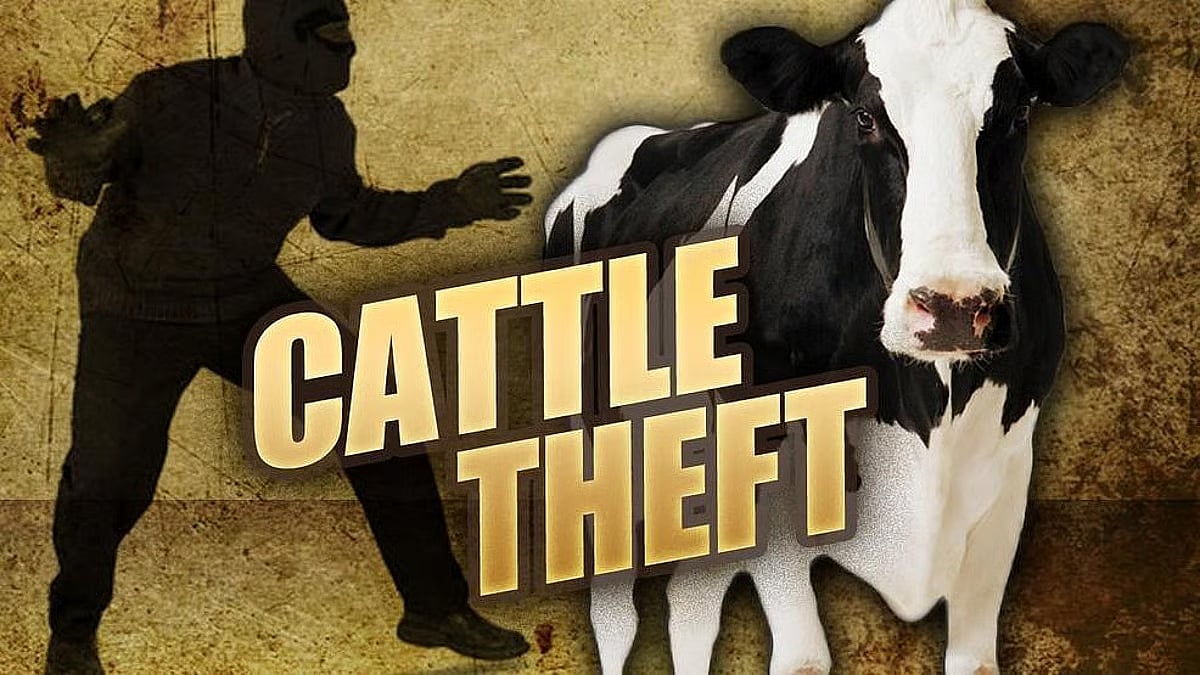 Assam: Rising cattle and goat thefts spark concern in Nalbari villages