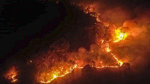 IAF Conducts 54 Sorties, Drops 1.62 Lakh Litres of Water to Fight Arunachal Forest Fire in Four Days