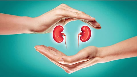 kidney disease 
