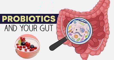 gut health