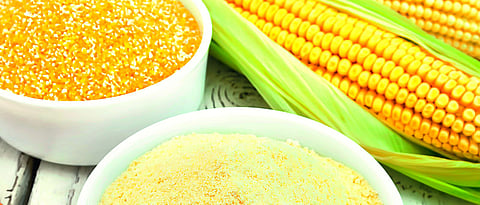 Maize Processing