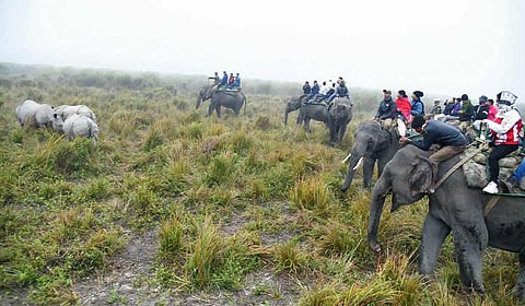 Kaziranga National Park