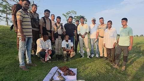 Poachers 