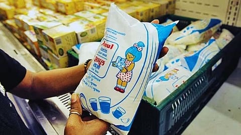 milk prices