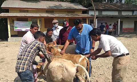  Animal Health Camp