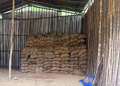 smuggled areca nuts