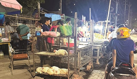 Illegal vendors 