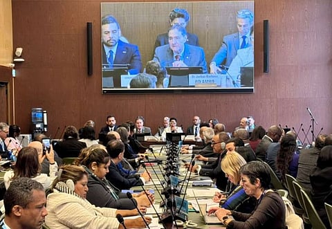 79th World Health Assembly