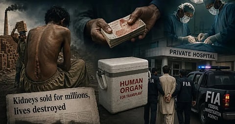 illegal organ trade