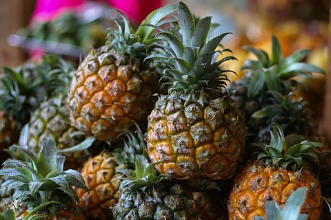 Pineapple Festival