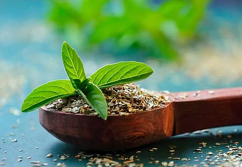 Tulsi