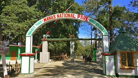 Manas National Park 