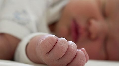 birth rates
