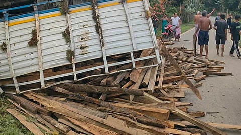 illegal timber 
