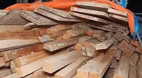timber 