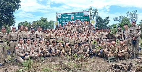 500 saplings planted at Behali wildlife sanctuary ahead of world environment day
