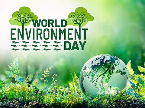 Environment Day 