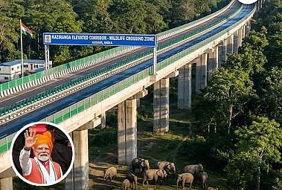Kaziranga Elevated Corridor