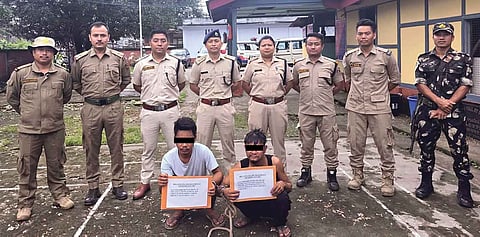 Tezu murder case
