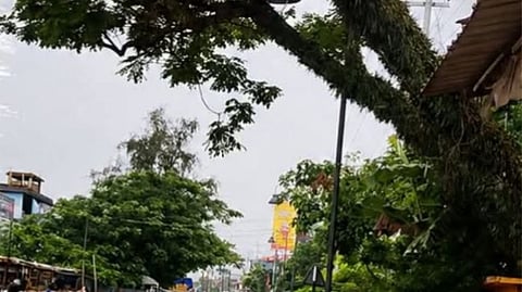 Nalbari 