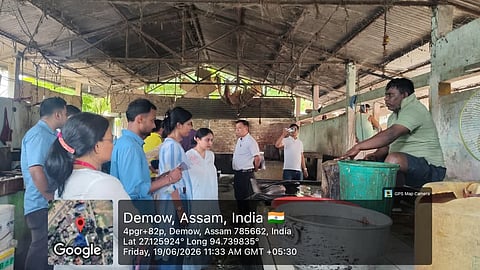 Food Safety