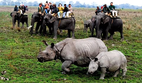 Boost to tourism