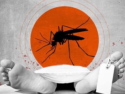 Morigaon Woman Dies After Dengue Attack