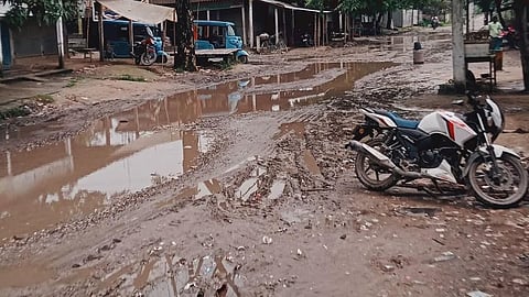 Allia-Arara Road 