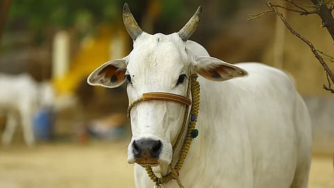 Morigaon