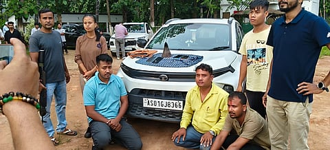 Rhino Horn
