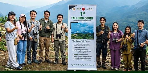 Bird Survey