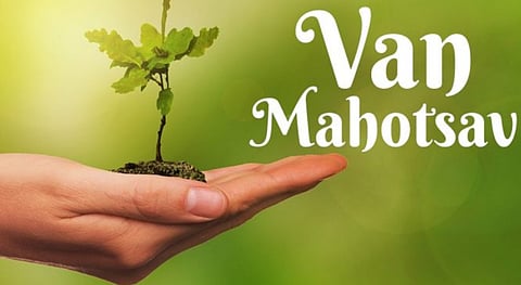 Van Mahotsav