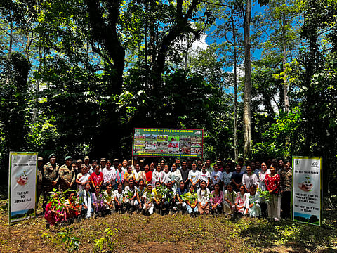 Van Mahotsav Week