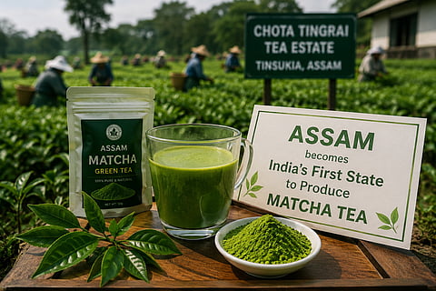 Matcha Tea