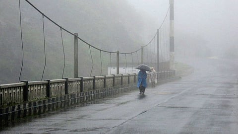 Rainfall 