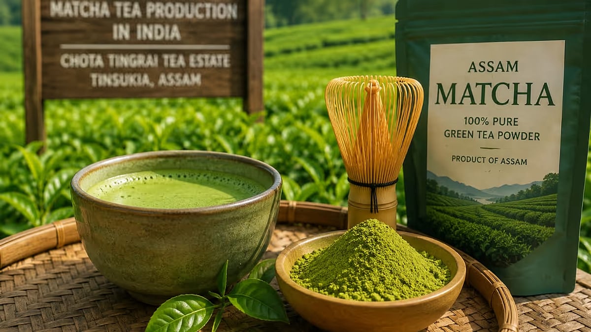 Assam’s Matcha movement: Reinventing India’s tea legacy for a new global era