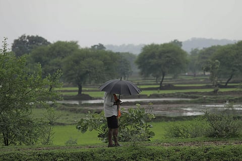 rainfall