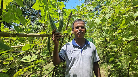Nalbari farmer 