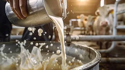 Assam Cabinet Approves Milk Processing Facility in Biswanath to Strengthen Dairy Sector